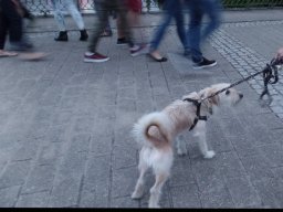 Brückenfest, Letmathe